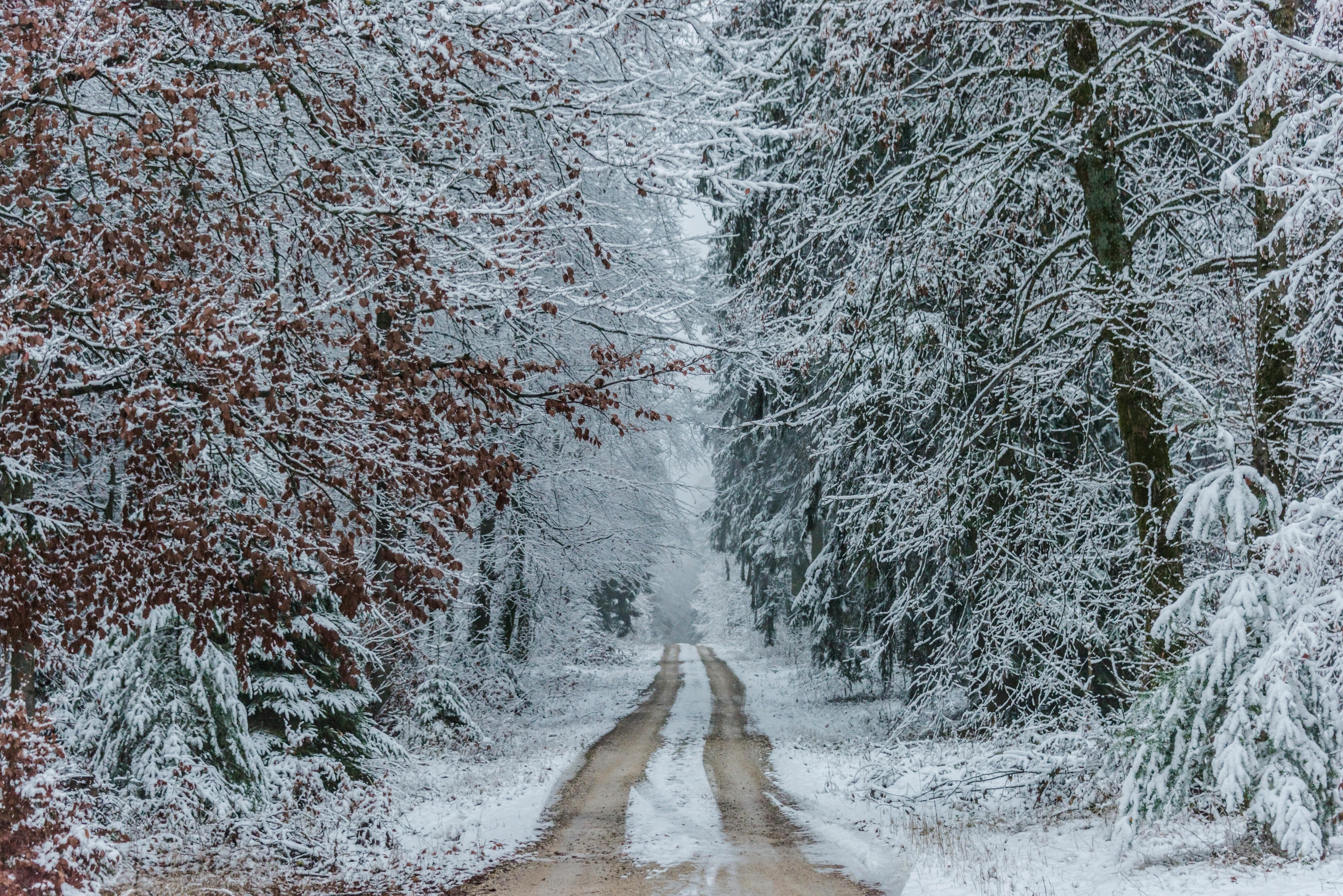 aalen-schneewald-wellness-natur.jpg