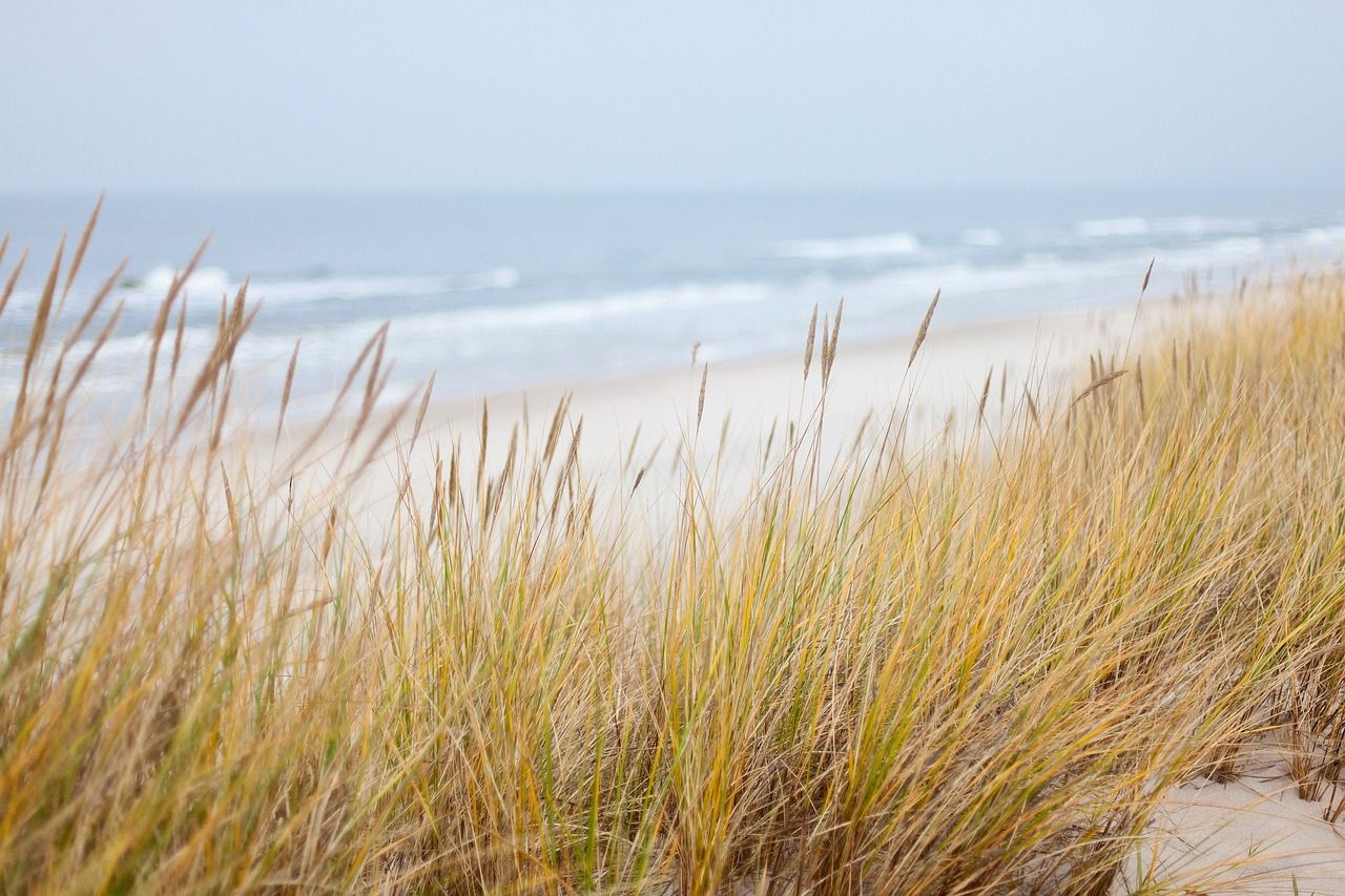 duenen-an-ostsee-meck-pomm.jpg