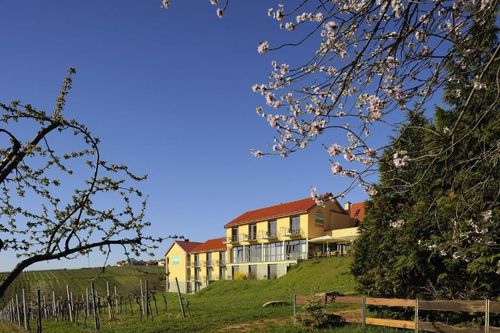 Ein Galleriebild vom Wellnesshotel Alte Rebschule