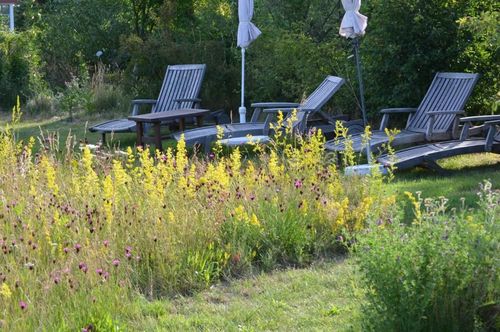 Ein Galleriebild vom Wellnesshotel Haferland Hotel