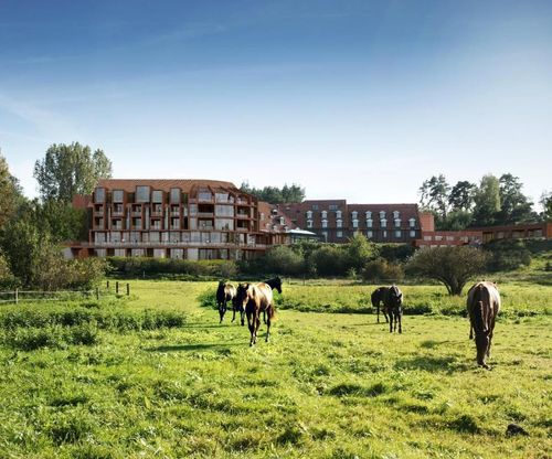 Das Vorschaubild vom Wellnesshotel Hotel Bornmühle