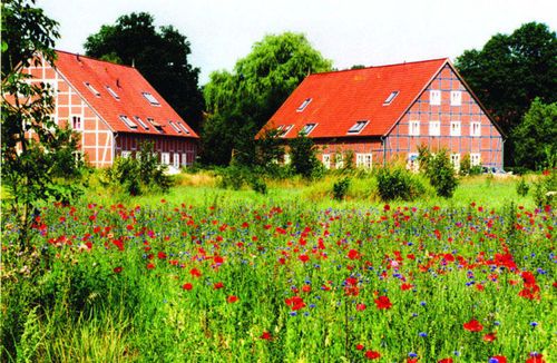 Ein Galleriebild vom Wellnesshotel Kartoffel Hotel