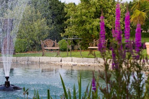 Ein Galleriebild vom Wellnesshotel Schwanefeld