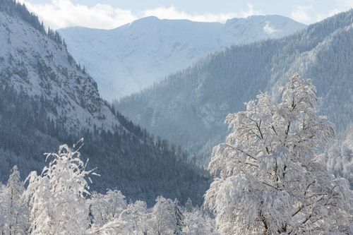 Ein Galleriebild vom Wellnesshotel Tannerhof
